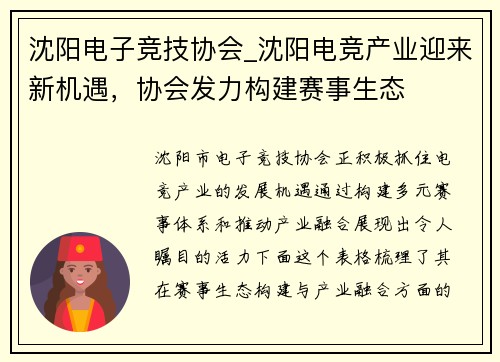 沈阳电子竞技协会_沈阳电竞产业迎来新机遇，协会发力构建赛事生态