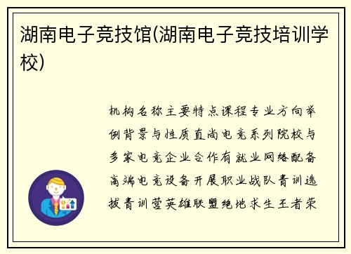 湖南电子竞技馆(湖南电子竞技培训学校)